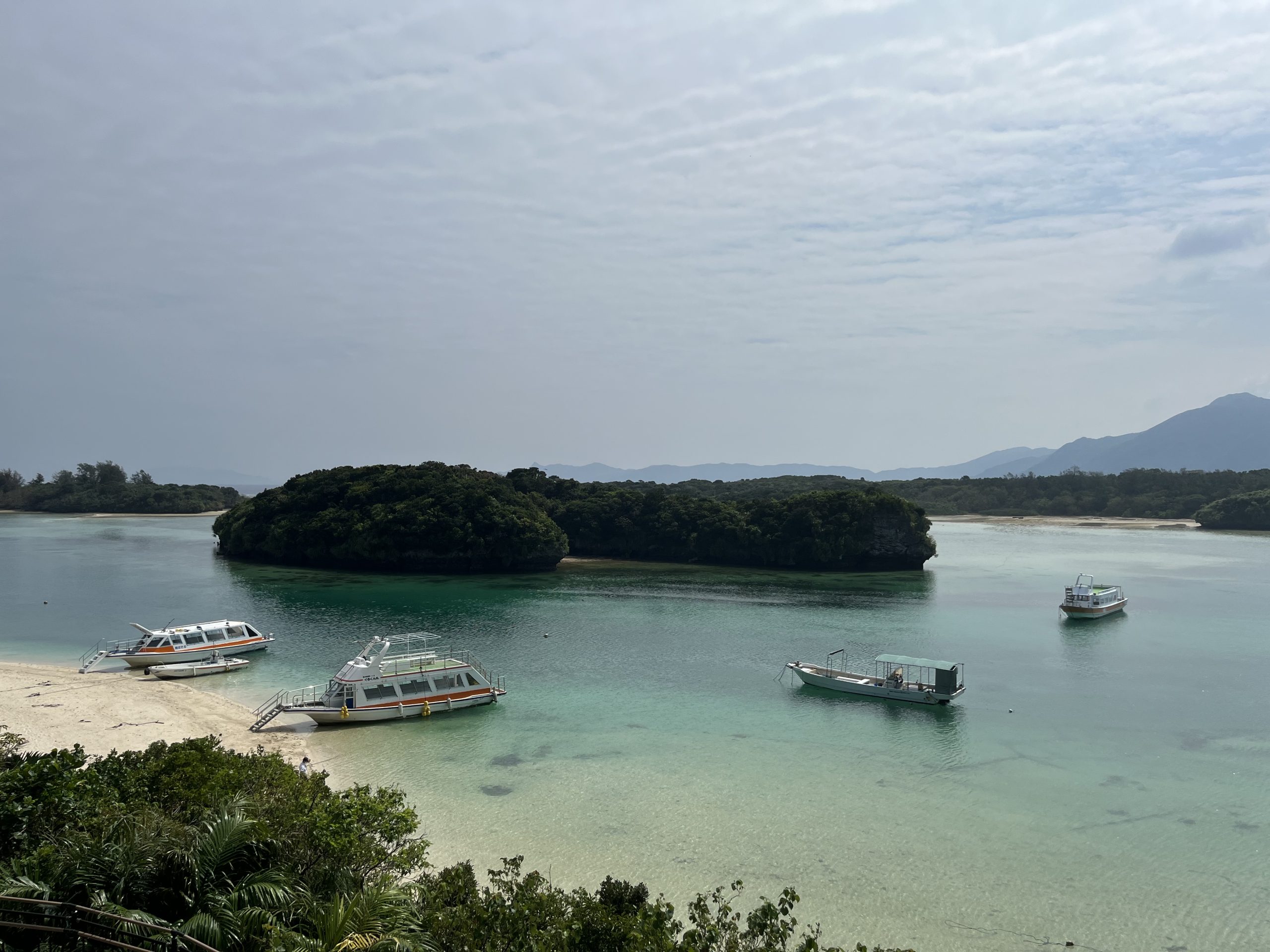 5 Things to Do in Okinawa in Winter