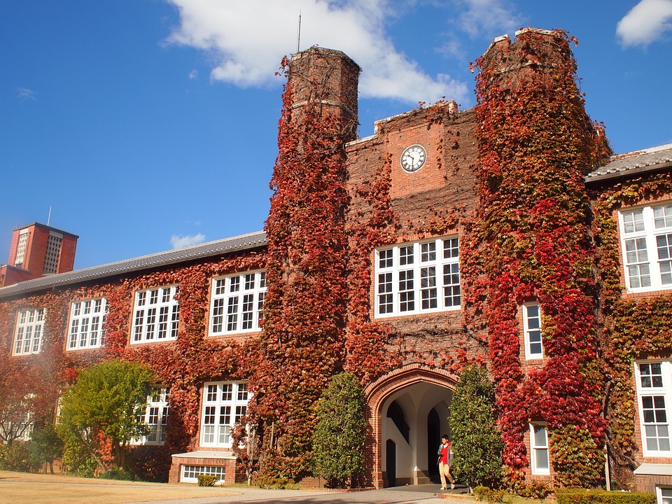 Why You Should Study Abroad in Japan: Pros and Cons