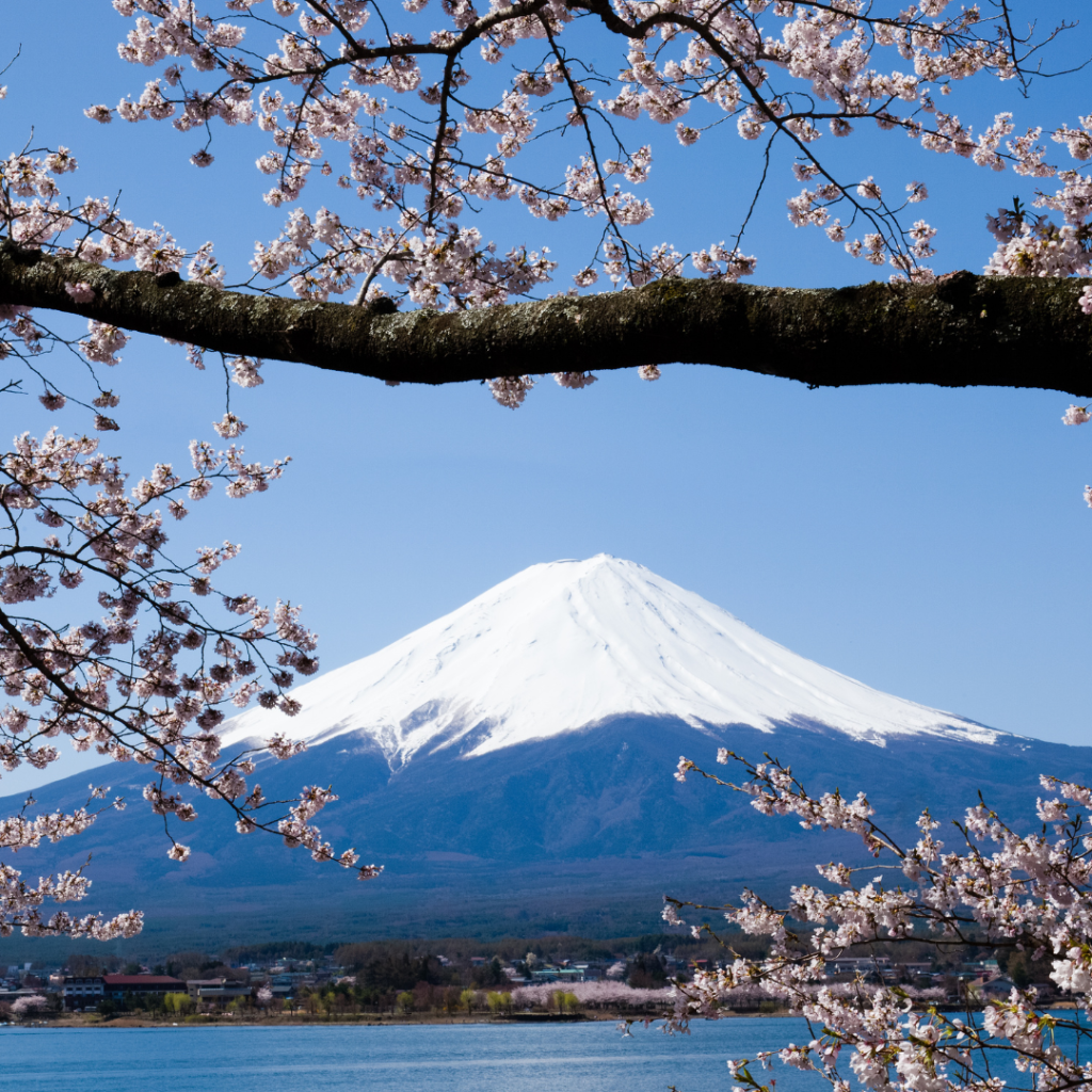 mount fuji